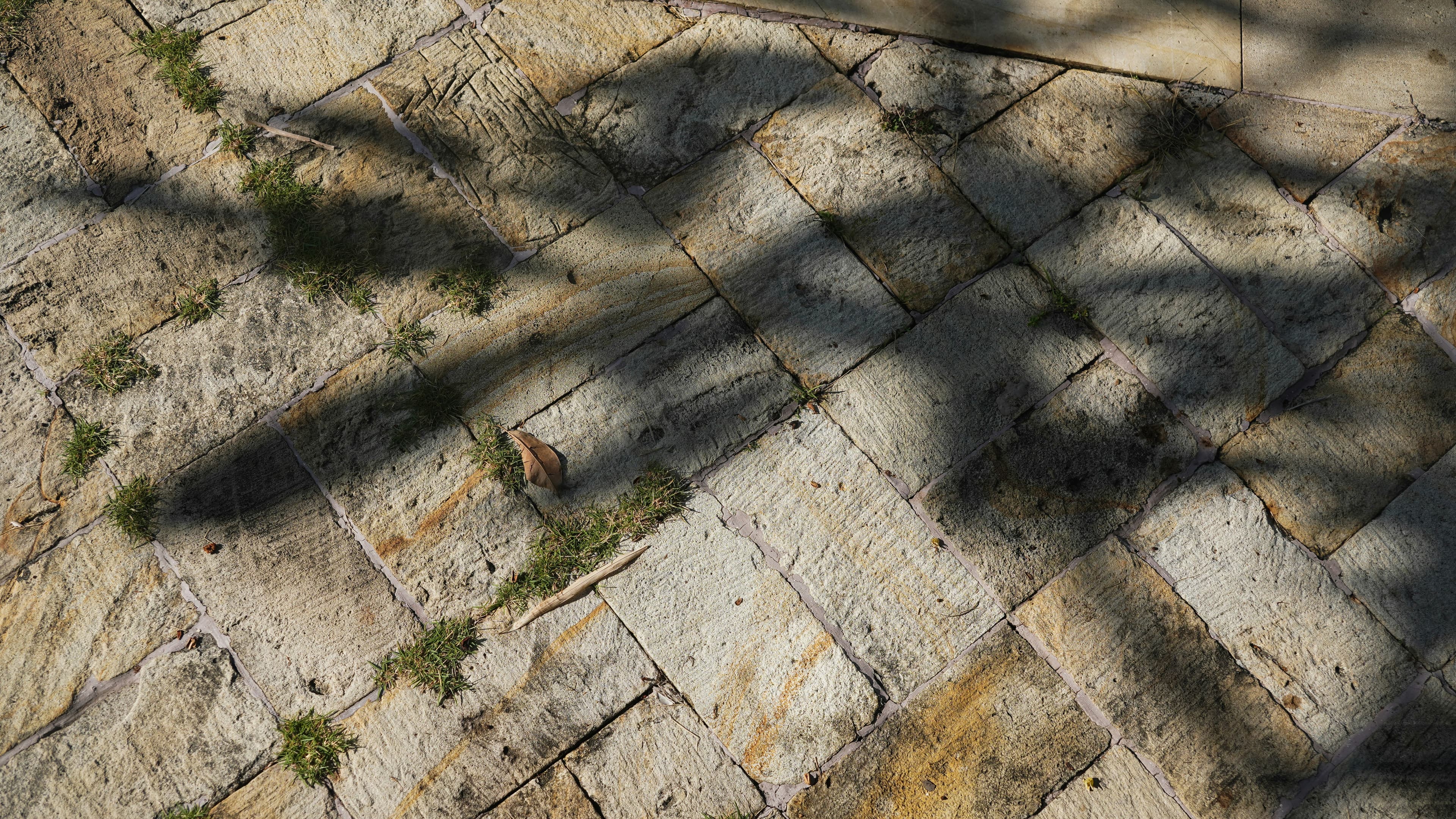 Pflege von Natursteinflächen